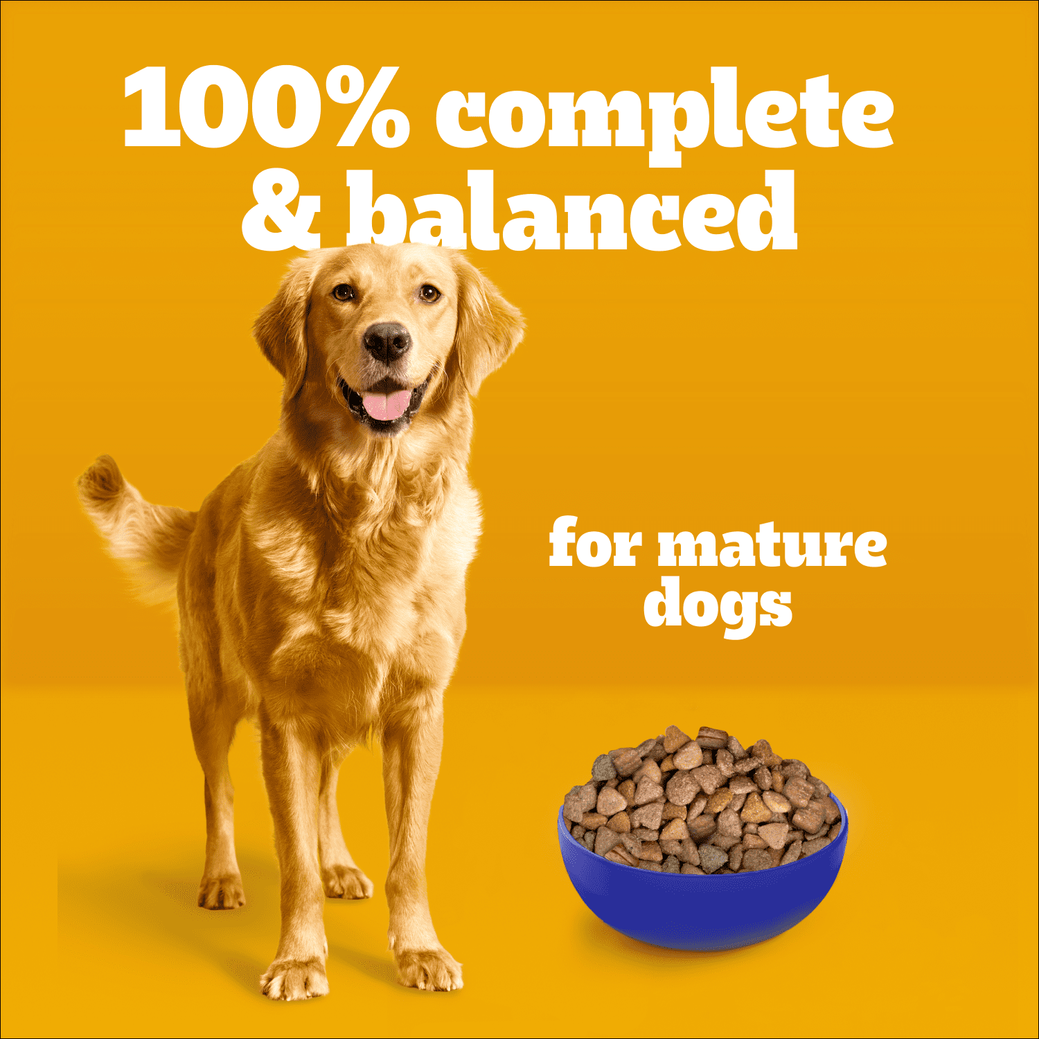 PEDIGREE Vitality+ Adult Dry Dog Food Hearty Beef and Vegetable Flavour, Bag 20kg