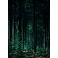 thumbnail image 2 of Design Fabrikken 14x18 Black Ornate Wood Framed with Double Matting Museum Art Print Titled - Deep Green, 2 of 4