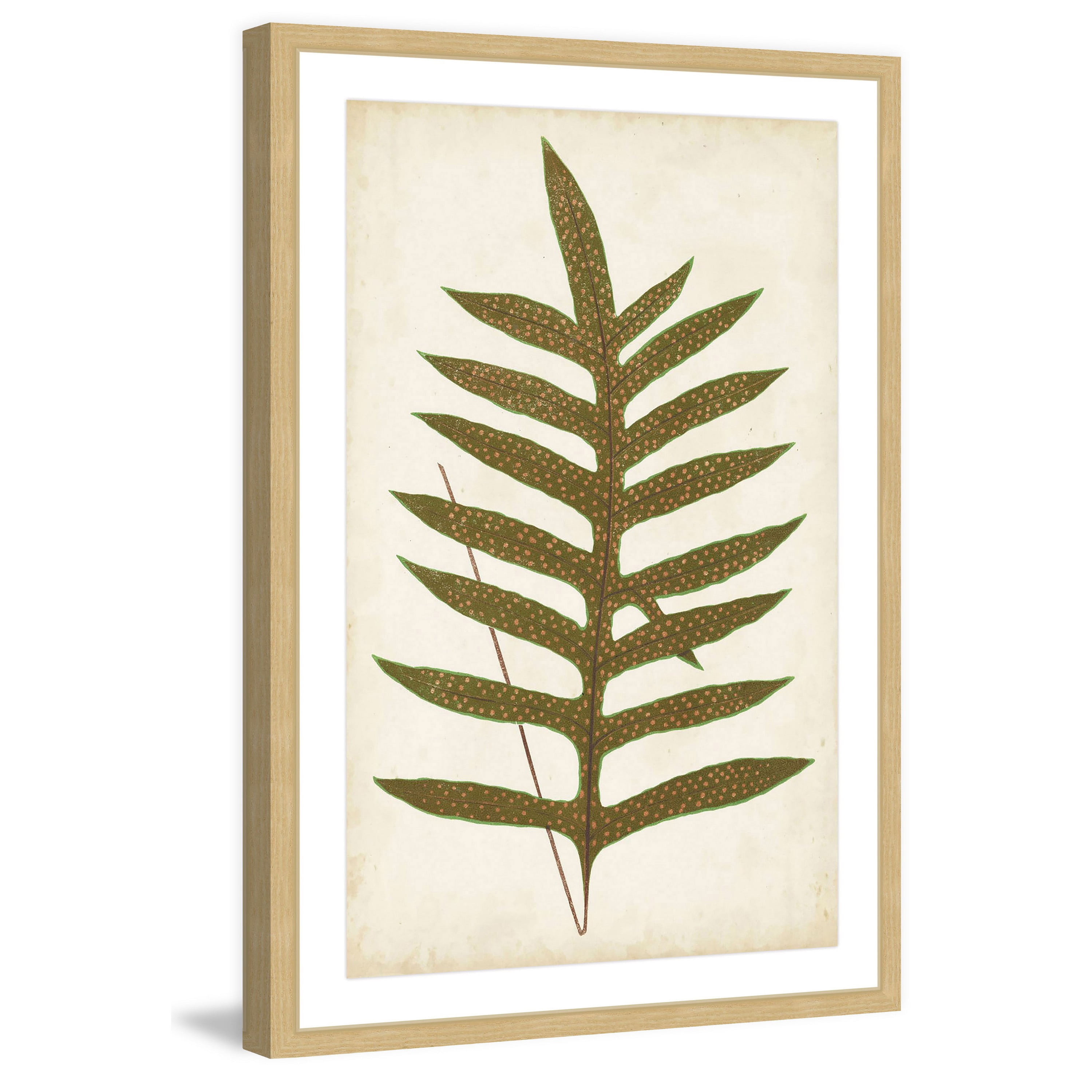 Marmont Hill "Fern Family VIII" Framed Painting Print
