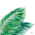 thumbnail image 2 of Brent, Paul 15x15 Black Ornate Wood Framed with Double Matting Museum Art Print Titled - Palm Fronds I, 2 of 4