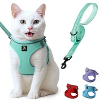BELLA & PAL Cat Harness and Leash for Walking, Breathable Air Mesh Adjustable Vest Harnesses for Cats, Easy Control Safety Reflective Strips Harness, Light Green Harness, XXS