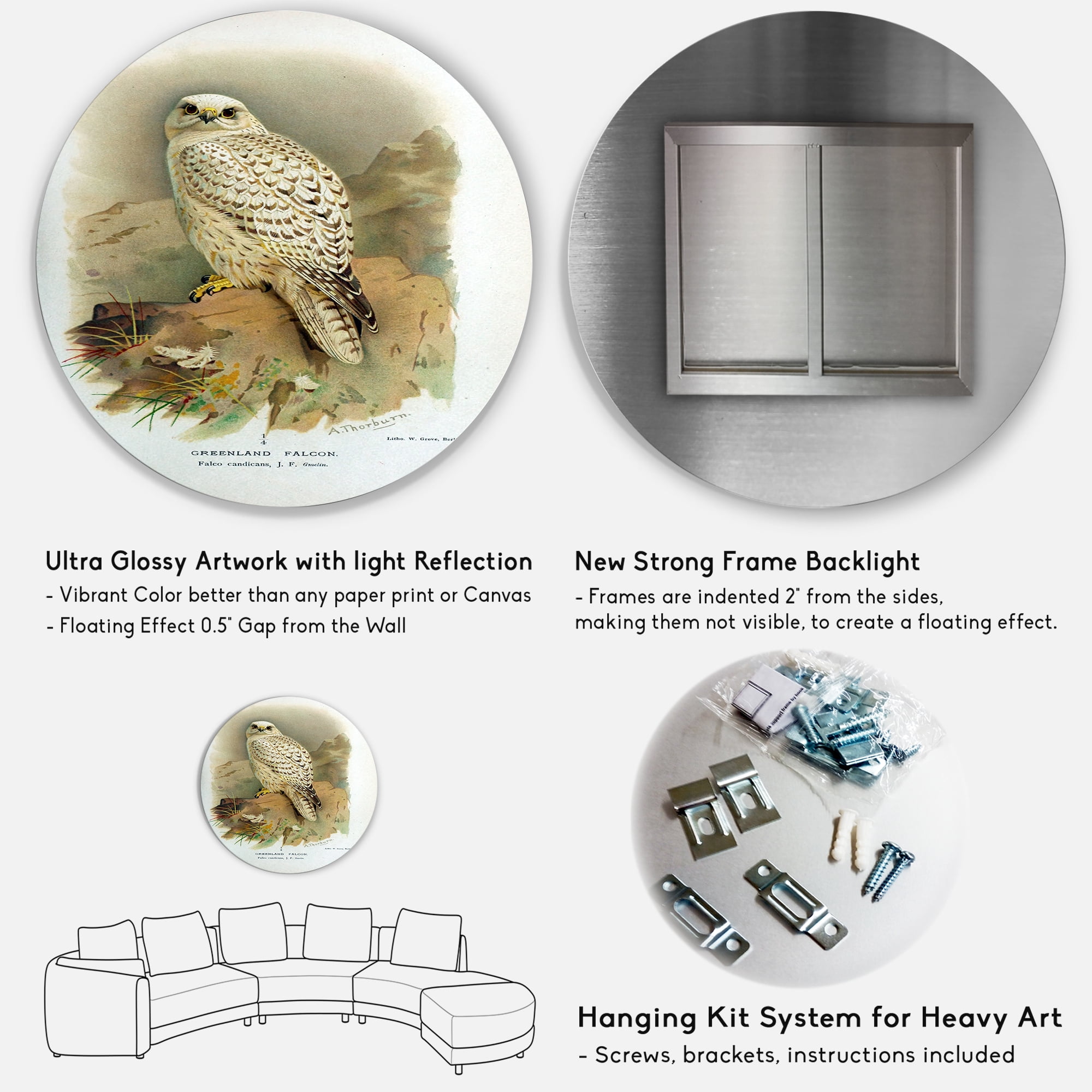 Designart 'Ancient Bird Life VII' Traditional Circle Metal Wall Art 11x11 - Disc of 11