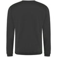 thumbnail image 2 of PRO RTX Mens Pro Sweatshirt, 2 of 4
