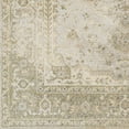 thumbnail image 6 of Livabliss Washable Rugs for Living Room, 3x7 Lillian Traditional Gray Runner Area Rug, Bedroom Dining Room Home Decor Stain Resistant Carpet (2'7" x 7'3" Runner), 6 of 9