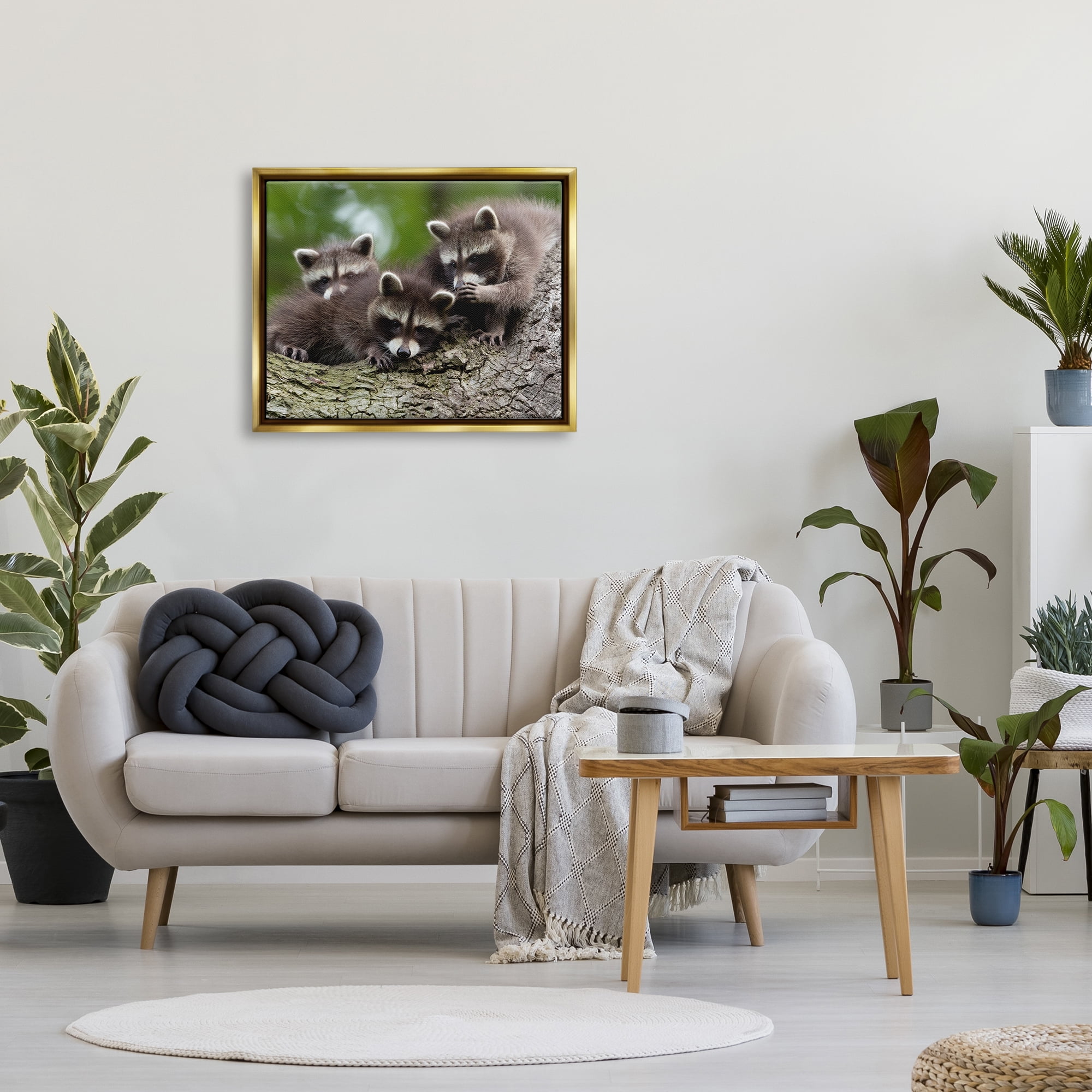 Stupell Industries Raccoon Babies in Tree Animals & Insects Photography Gold Floater Framed Canvas Art Print Wall Art, 31 x 25