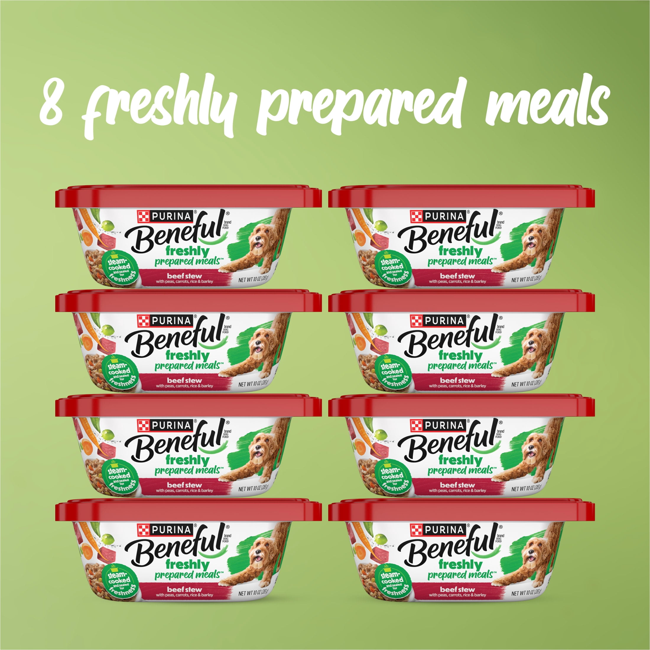 Purina Beneful Dog Food Freshly Prepared Meals, Dog Food Fresh, High Protein Wet Dog Food, Beef Stew, 10 oz, 8 Pack