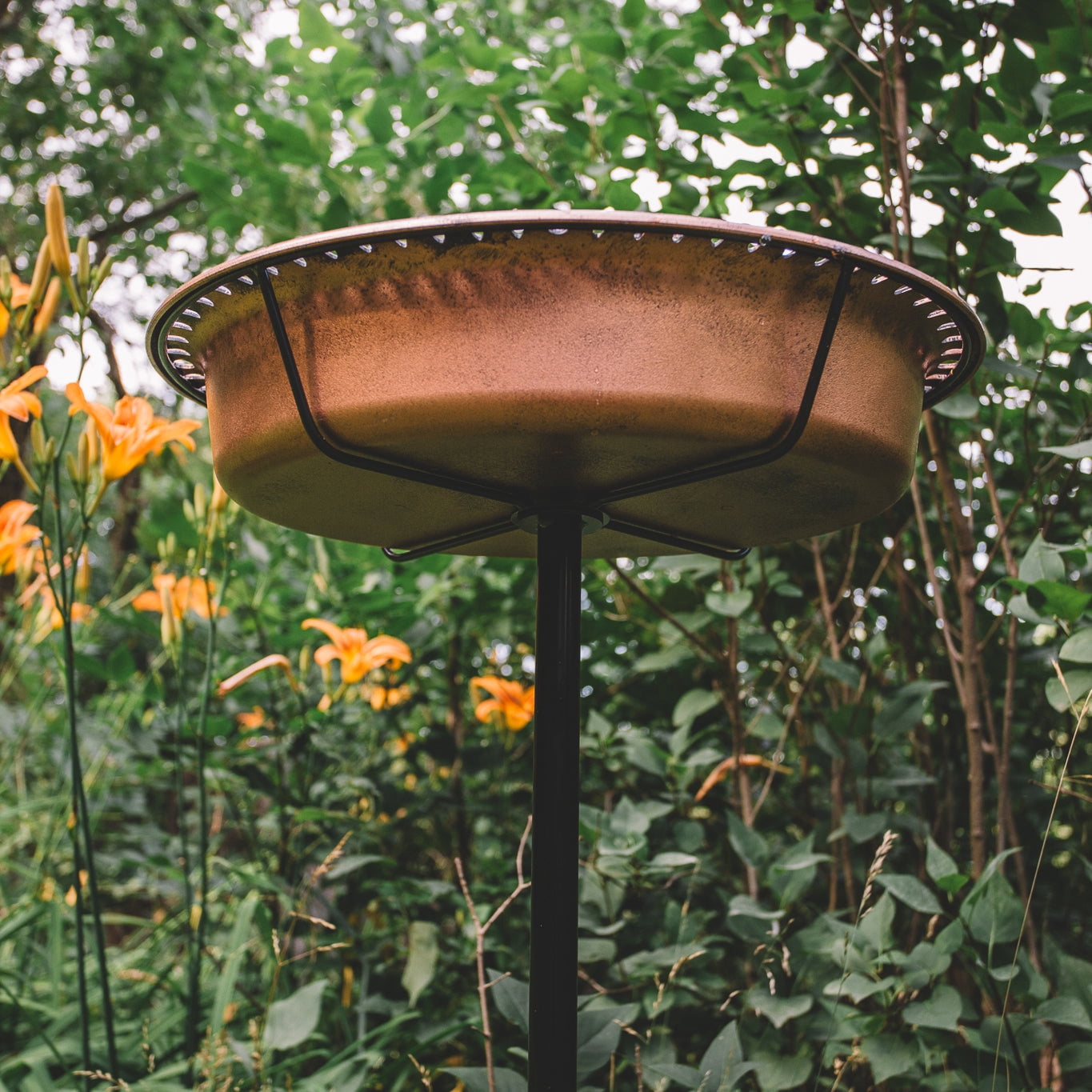 Backyard Expressions Oval Copper Finish Resin Garden Bird Bath with Ground Stake