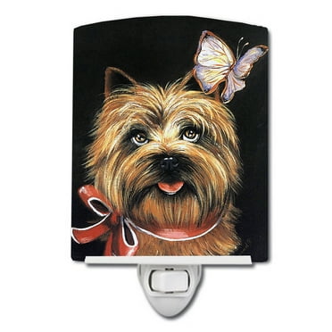 Caroline's Treasures PPP3047CNL Cairn Terrier Butterfly Ceramic Night Light, 6x4x3", multicolor