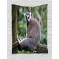 thumbnail image 1 of Lemur Tapestry, Photo of Madagascar Mammal Forest on Tree Taking a Rest, Wall Hanging for Bedroom Living Room Dorm Decor, 40W X 60L Inches, Dark Warm Taupe Reseda Green Purpleblue, by Ambesonne, 1 of 2