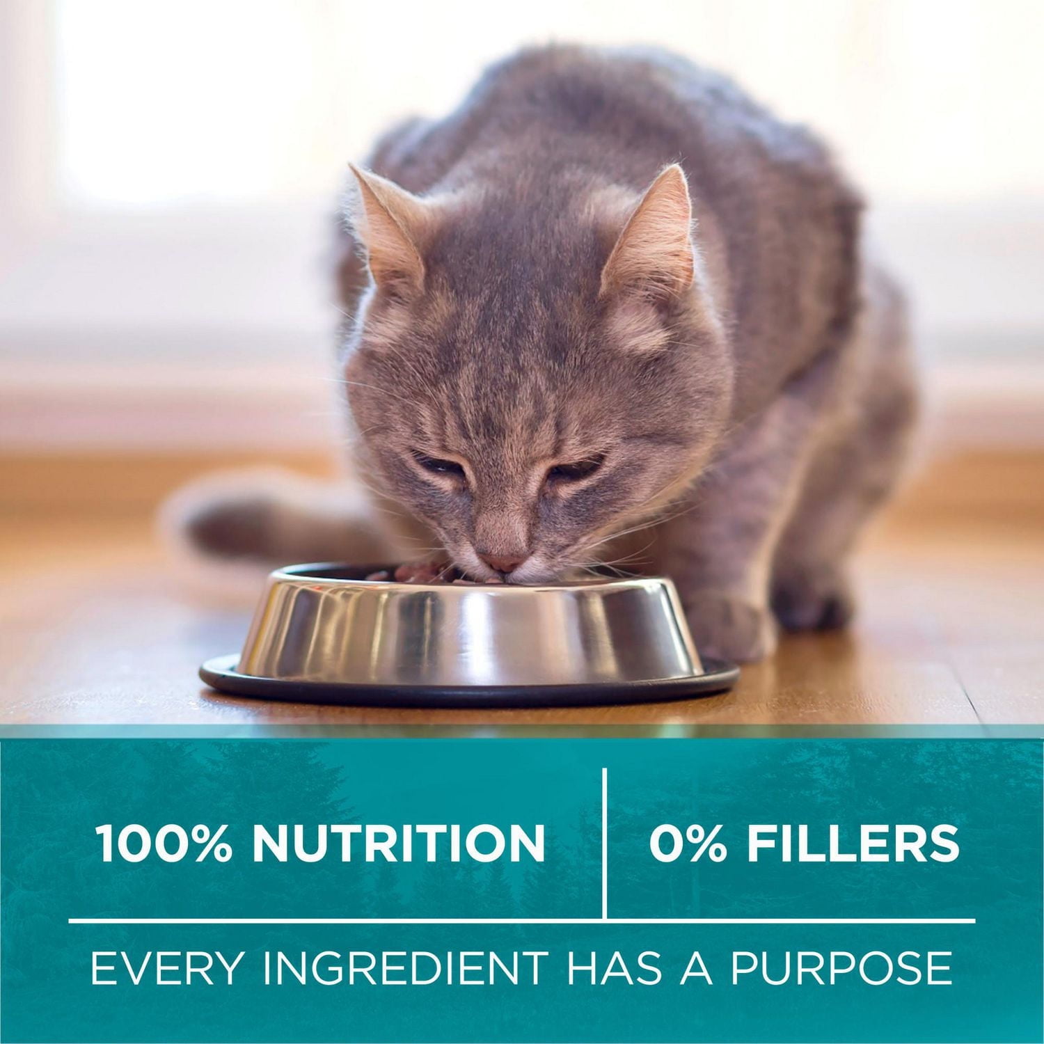 Purina ONE True Instinct Grain Free Chicken, Dry Cat Food 1.45kg