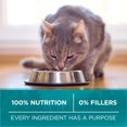 thumbnail image 2 of Purina ONE True Instinct Grain Free Chicken, Dry Cat Food 1.45kg, 2 of 9