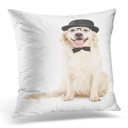 ECCOT Dog Studio Shot of Labrador Retriever with Bow Tie Wearing Retro Hat White Cute Pillowcase Pillow Cover Cushion Case 16x16