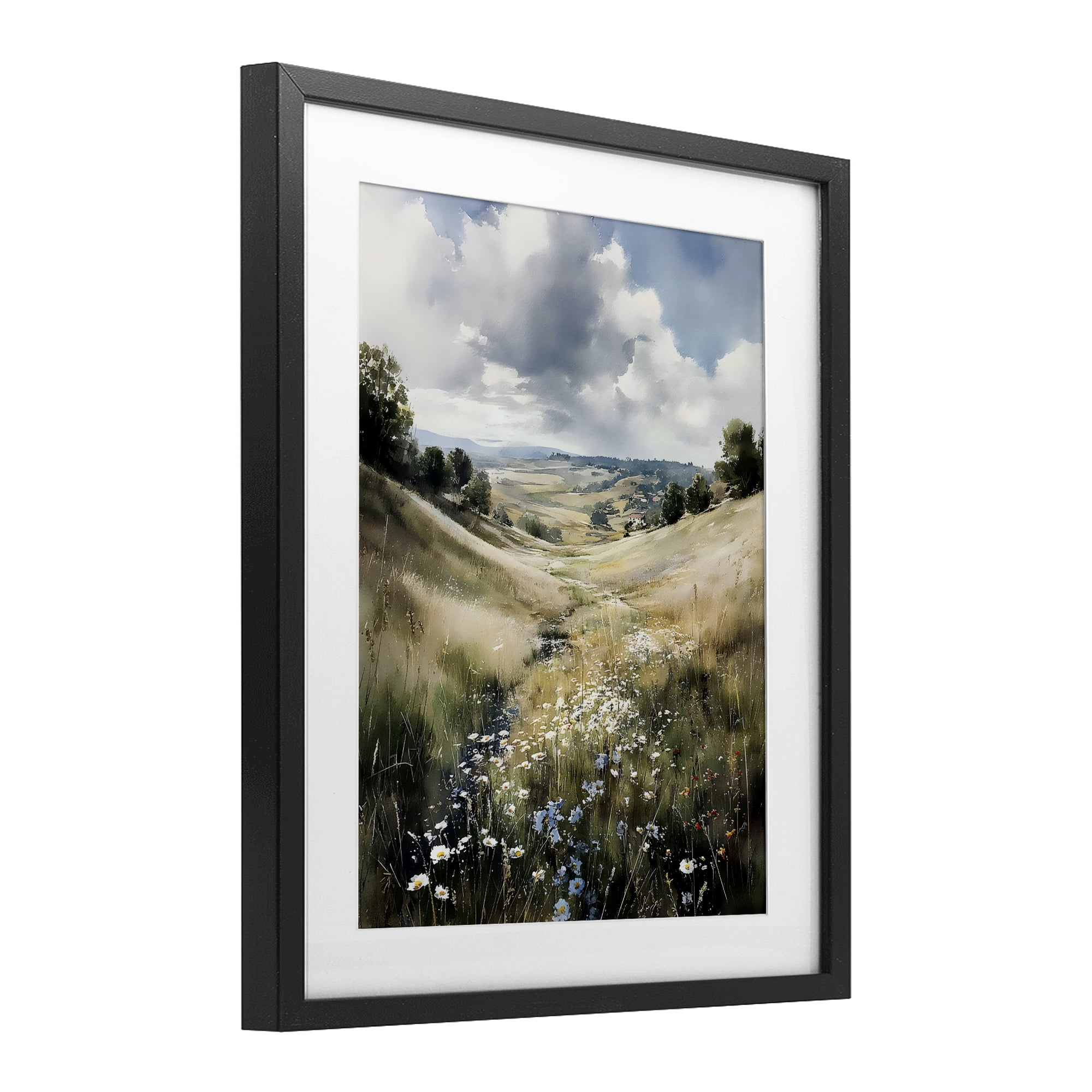 Stupell Industries Floral Valley of Wild Daisies Black Framed Print Under Glass, design by Franklyn Gregory