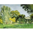 thumbnail image 2 of Cezanne, Paul 24x19 Black Ornate Wood Framed with Double Matting Museum Art Print Titled - Trees at Jas de Bouffan, 2 of 4