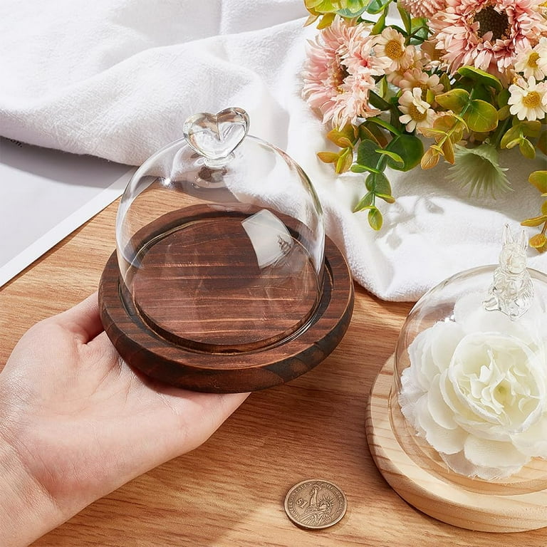 Round Glass Display Dome Cloche Mini Glass Cloche Dome Clear Bell Jar  Cloche Plant Terrarium Decor with Wood Base 11.2cm11.2cm for Flower Crafts  Decorations Coconut Brown - Walmart.com