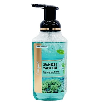 Scent Theory Nature-Inspired Foaming Hand Soap, Sea Moss and Water Mint, 11 fl oz