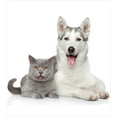 thumbnail image 3 of Ambesonne Cat Duvet Cover Set, Animals Pets Dogs Digital, Queen, White and Grey, 3 of 6