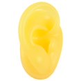 thumbnail image 3 of 1 pieza de nuevo modelo de oreja de silicona, herramientas profesionales para practicar la perforación de pendientes, herramientas de exhibición para pendientes, se pueden reutilizar, joyería corporal, 3 of 5