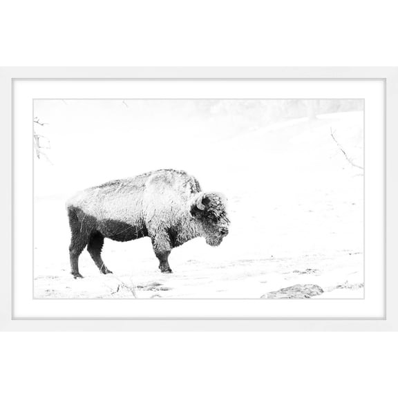 Marmont Hill "Grazing Bison" Framed Painting Print