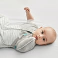 thumbnail image 4 of Love to Dream Swaddle UP Transition Baby Sleep Bag Warm 2.5 TOG, Zip-Off Wings, Medium 13-19 lbs, Dreamer, 4 of 4