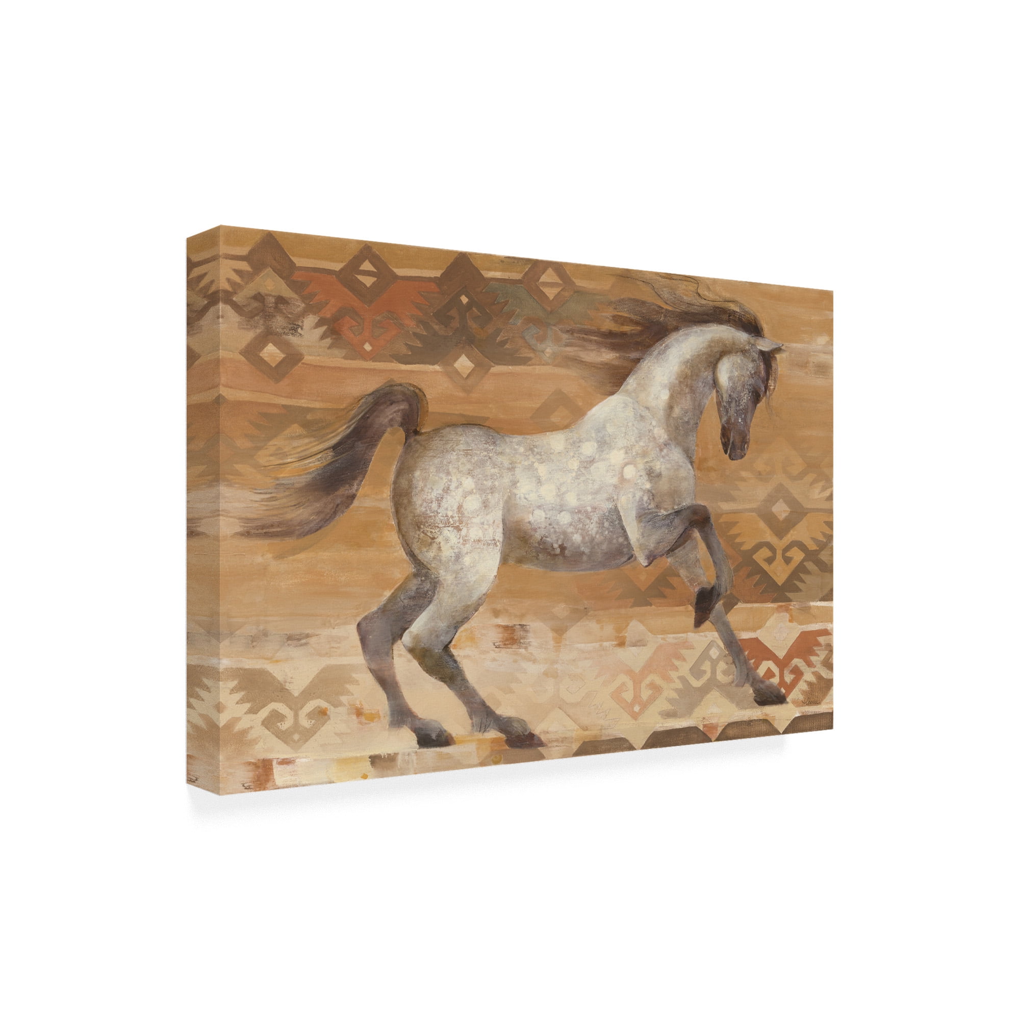 Trademark Fine Art 'Grand Entrance Southwest' Canvas Art by Albena Hristova