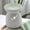 Green, variant on Heart-Shaped Ceramic Aromatherapy Burner Smokeless Essential Oil Diffuser for Home Decor Mint Green Pink Romantic Gift