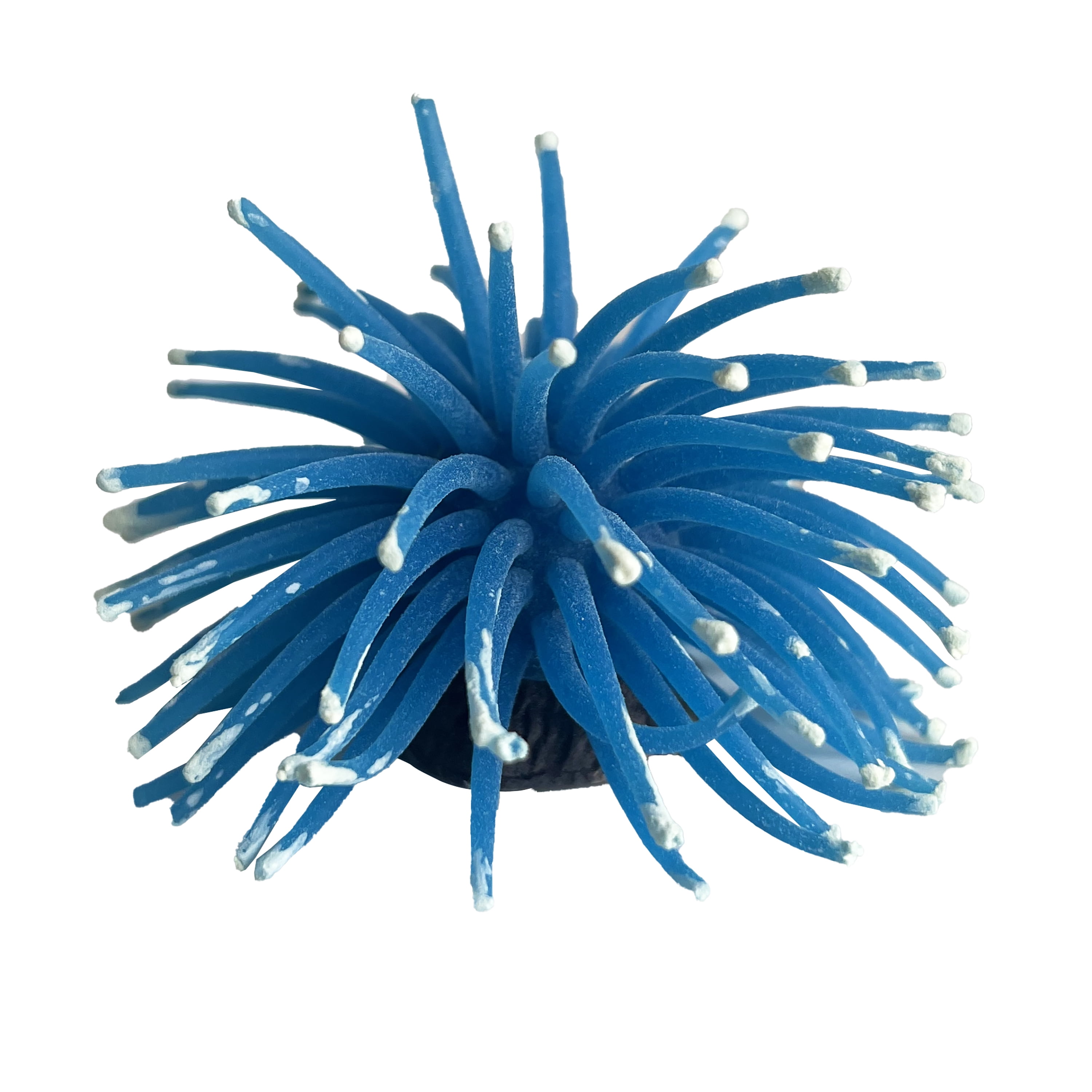 アクセサリー anemone Aqua Culture Silicone Anemone in Assortment of Colors, Glows Under