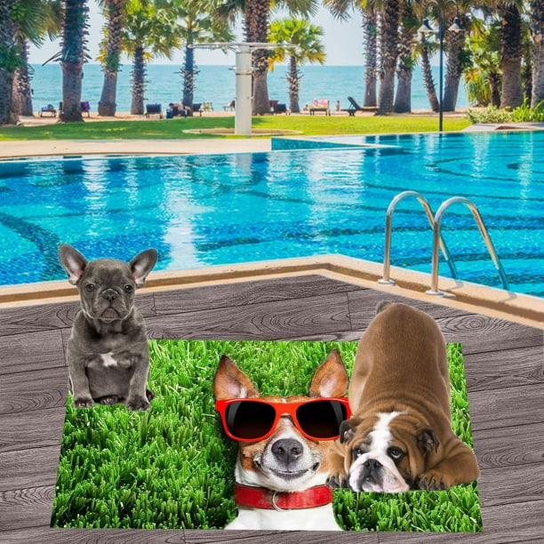 Dog themed hotsell beach towels