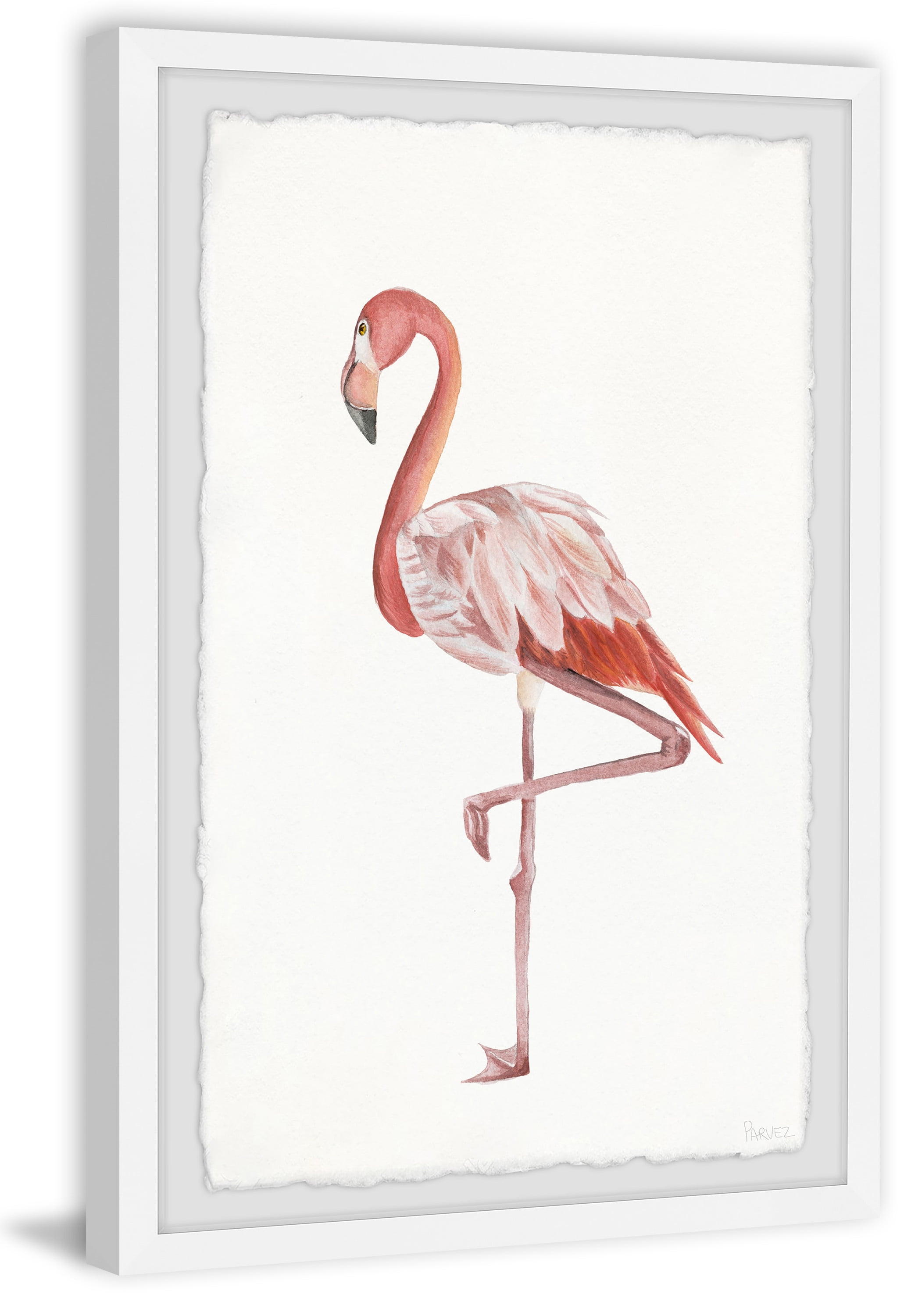 Parvez Taj Dashing Flamingo Stand Framed Wall Art