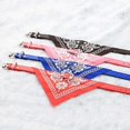 thumbnail image 2 of Luck Daw Bandanas ajustables para perros, gatos, cachorros, collares triangulares, bufanda de cuero, 2 of 3