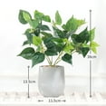 thumbnail image 7 of SPRING PARK Artificial Green Lucky Turtle leaf Decorative Home Garden Outdoor Plant Tree Pot, 7 of 7
