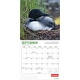 thumbnail image 4 of Canadian Geographic The Loon 2026 12x24" (Hanging) Wall Calendar | Wyman Publishing, 4 of 9