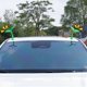 thumbnail image 2 of Green Grass Bean Sprout Car Ornament 3D Car Roof Decoration Stickers Automotive Decorative Accessory Bumper Hood Sticker, 2 of 4