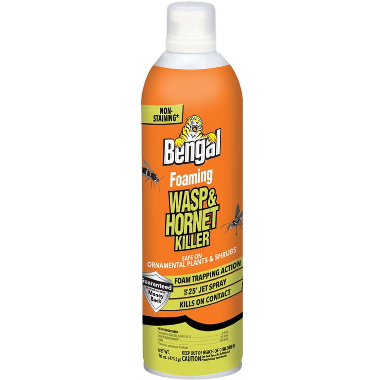 Bengal Foaming Wasp & Hornet Killer, 16 oz, 2-Pack photo 2