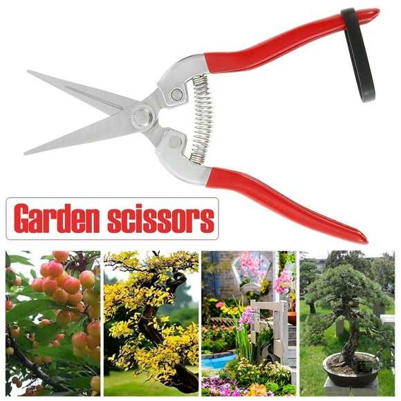 Duety Straight Pruning Shears with Stainless Steel Blades Florist Scissors Garden Snips Handheld Pruner Cutter for Arranging Flowers Trimming Plants Harvesting Fruits Vegetables