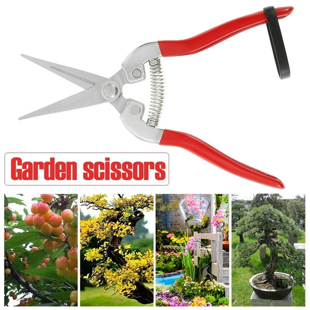 Tijeras De Podar Rectas Con Hojas De Acero Inoxidable Tijeras De Floristería Tijeras De Jardín Cortador De Poda De Mano Para Arreglos De Flores Recorte De Plantas Cosecha De Frutas Verduras Muyoka Hogar