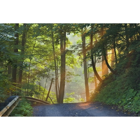 Port Pelham - Gravel Road At Sunrise Pelham Ontario Canvas Art - Darwin Wiggett Design Pics (34 x 22)