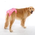 thumbnail image 3 of EeaseMX Pañales y fajas reutilizables para perritas medianas y grandes - Talla S (Rosa), 3 of 4
