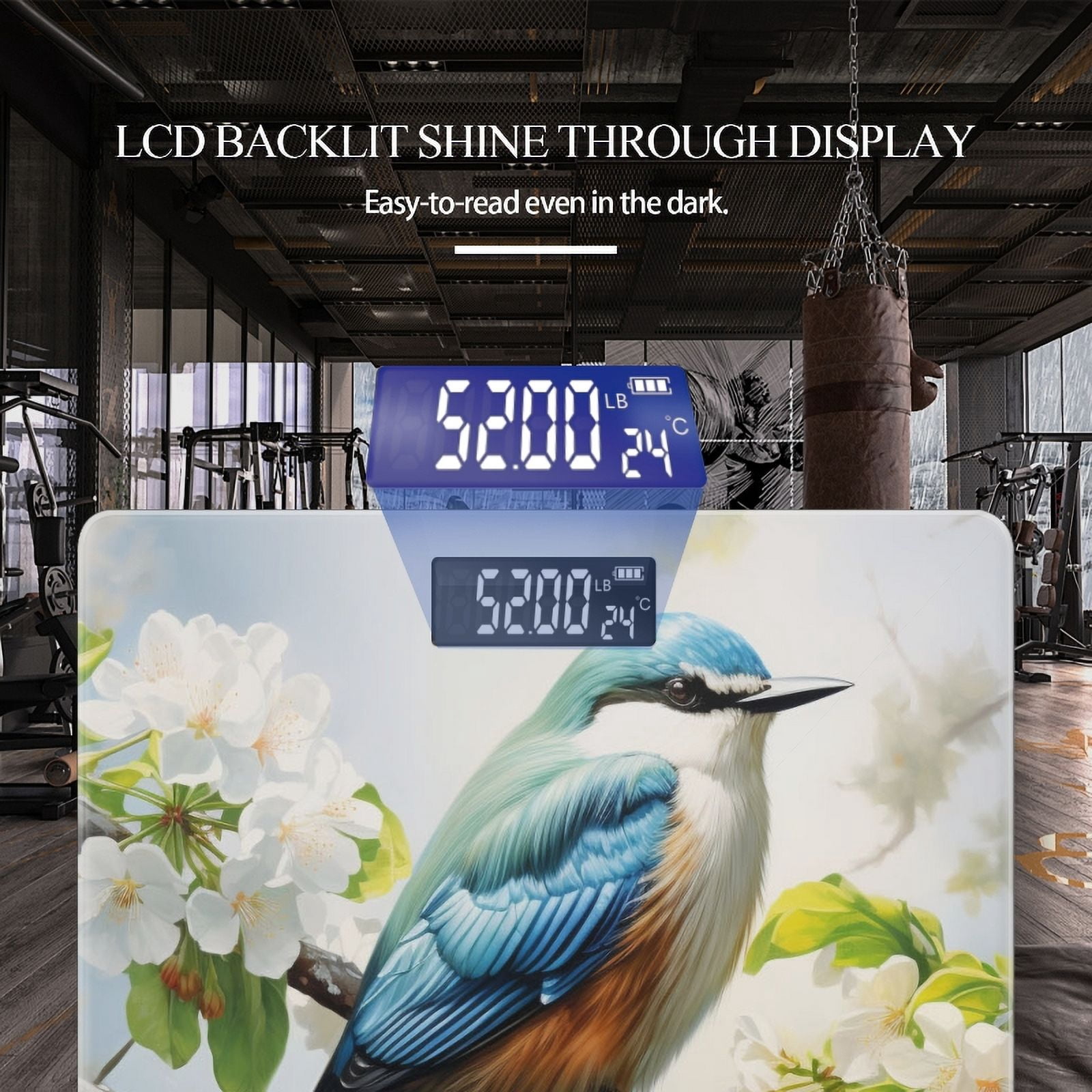 High Precision Body Weight Scale Smart Bathroom Scales with Large LCD Display(400lbs),Decorative for Bedroom-Beautiful Blue Bird Sitting On The Branch Of White Flowers