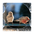 thumbnail image 1 of Window Bird Feeders with Strong Suction Cups, Clear for Outside,Bird House with 2 Compartment Removable Tray, 1 of 7