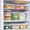 Risepekt Removable Day Labels, variant on 500 Pcs 1.5 Inch Use First Stickers Food Service Roll, Tekola Orange FIFO Label for Restaurant Inventory Control Management, Permanent Super Adhesive Food Circle Dot Labels, Trilingual Product Label