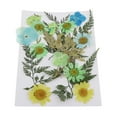 thumbnail image 3 of 25 Piezas Flores Secas Prensadas Perfecl Naturales, 3 of 8
