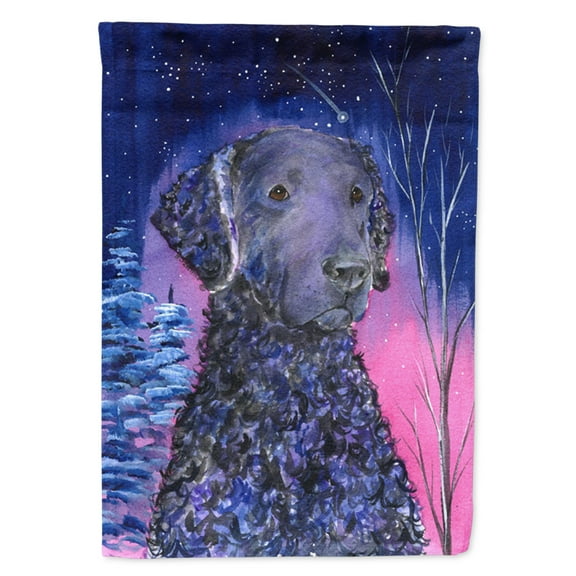 Carolines Treasures SS8354-FLAG-PARENT Starry Night Curly Coated Retriever Flag  multicolor