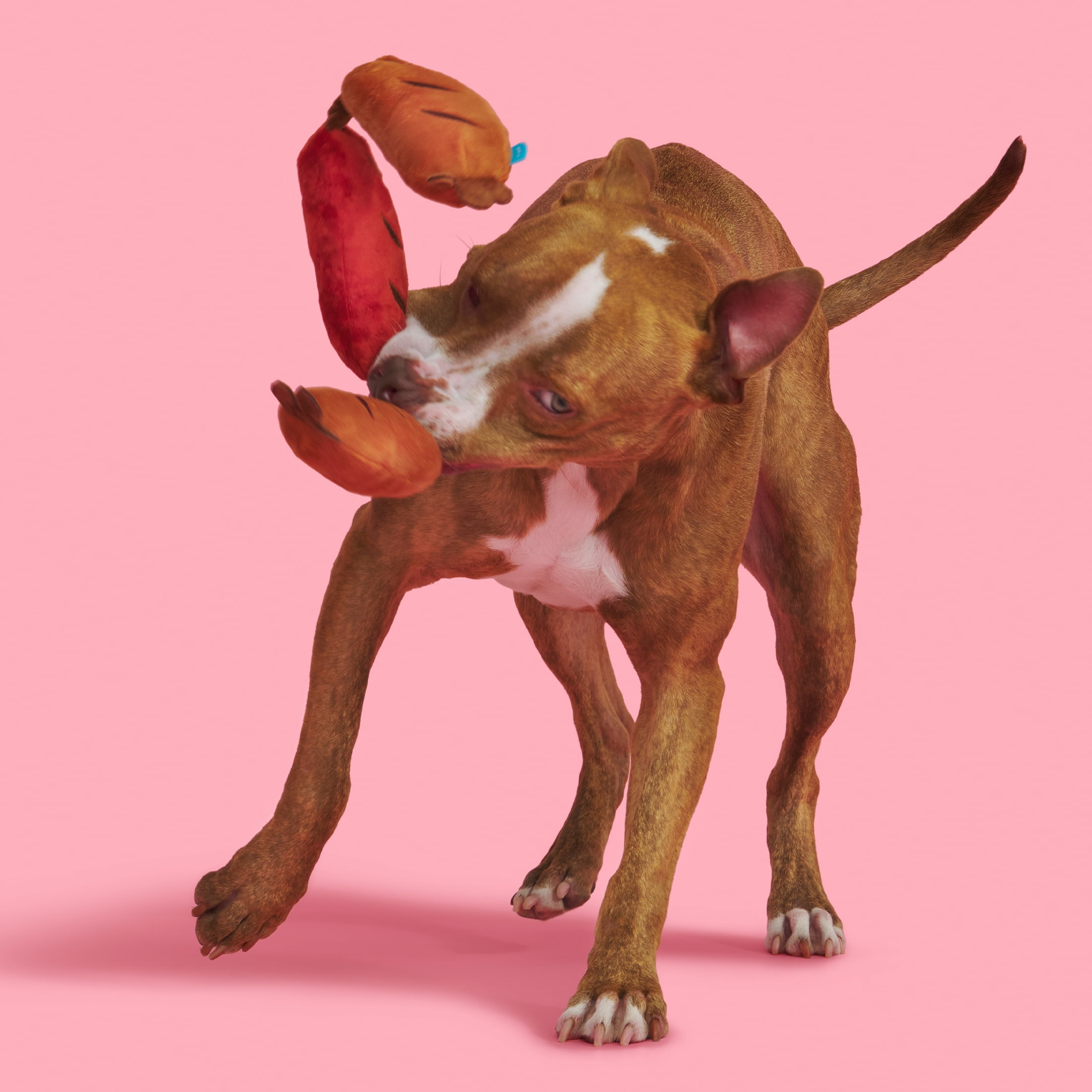 BARK Sausage Lickin' Links Plush Dog Toy, with Whip n Flip, Squeakers & Crazy Crinkle for All Dogs
