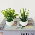 thumbnail image 1 of Simulation Potted Plant Artificial Perfect Plastic Display Mold Bonsai for Home Decor, 1 of 8