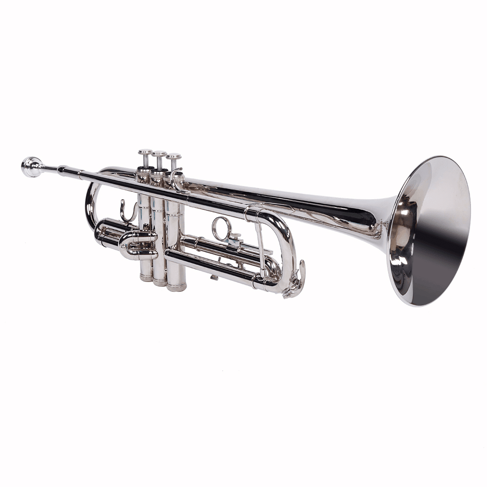 Tcbosik Drop B Trumpet Set for Beginner, Trumpet Instrument with Gloves, Silver