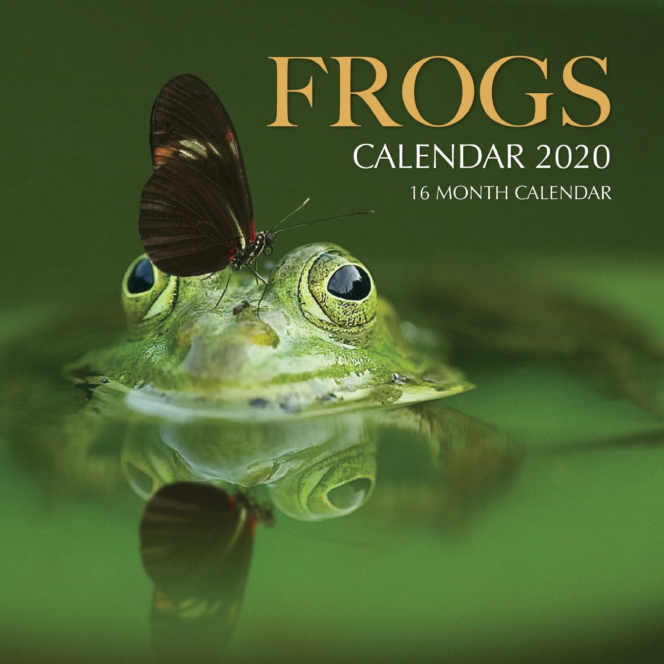 Frogs Calendar 2020 16 Month Calendar (Paperback)