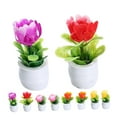 thumbnail image 5 of WORGEOUS  10 Pcs Mini Decoration Simulated Small Potted Plant, 5 of 8