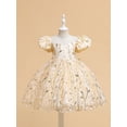 thumbnail image 2 of Bagilaanoe Girls Formal Dress Flower Girl Floral Embroidery Dress Puff Sleeve A-line Princess Dresses 4-13T Kids Ruffle Tulle Dress for Wedding Birthday Party Gown, 2 of 9
