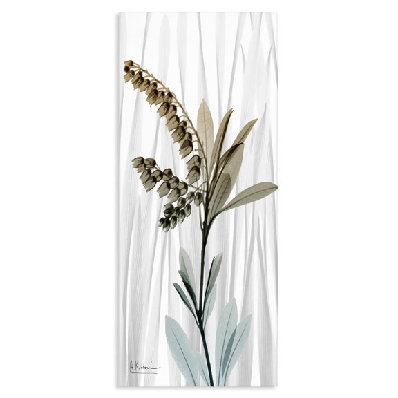 Stupell Industries Modern Modern Snowdrops Flower Canvas Art, 17 x 40, by Albert Koetsier